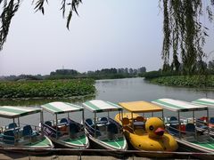 -白洋淀景区