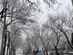 -元大都城垣遗址公园