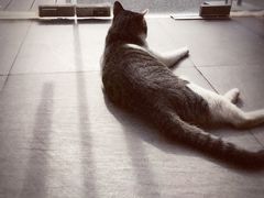 -UNI UNI(环亚凯瑟琳店)