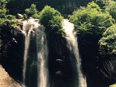 -陕西省红河谷森林公园