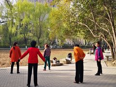 -西安市长乐公园