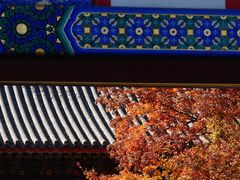 -香山公园