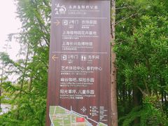 -上海长兴岛郊野公园