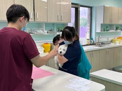-北京观赏动物医院·24小时大型综合·猫专科·异宠专科