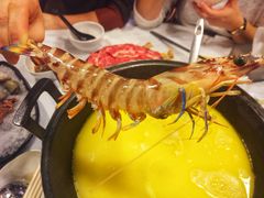 -鲜入围煮花胶鸡海鲜火锅