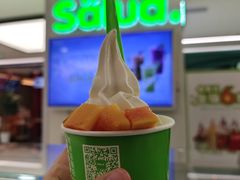 -Salud撒露欧洲冻酸奶(五道口购物中心店)