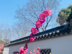 -无锡梅园公园
