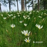 门票：免费 时间：全天 玩法：真的是非常的美