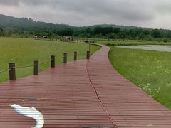 -御道口草原森林风景区