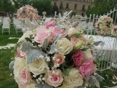 -北京张裕爱斐堡酒庄