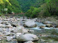 -沣峪口