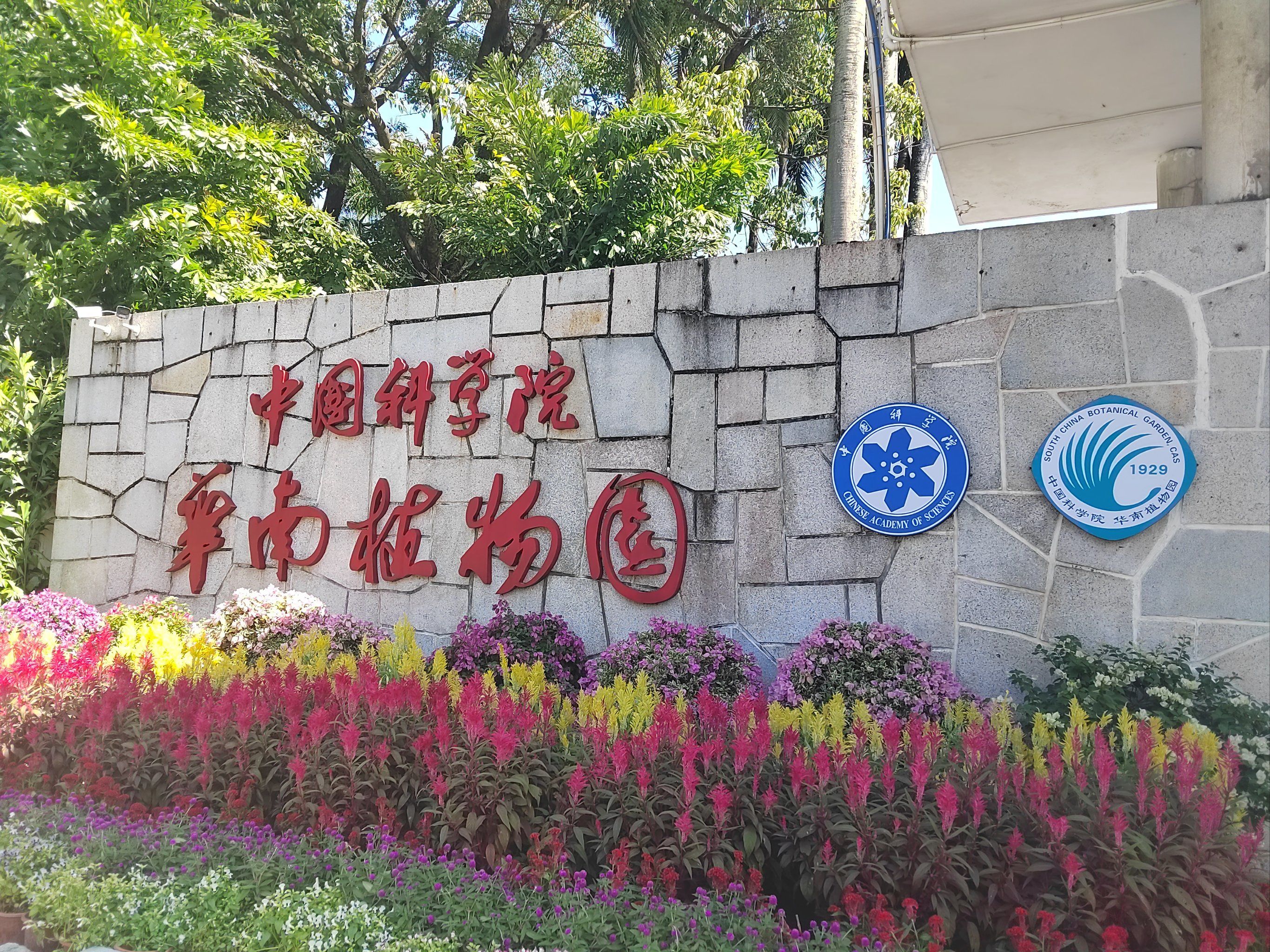 广州华南植物园～中国南方绿宝石