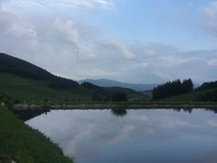 -云岭野山参风景区