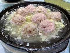 -丁老爷子苏香圆