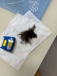 -禧婴婴儿理胎发·胎毛笔定制纪念品(新街口店)