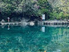 -南京珍珠泉风景区