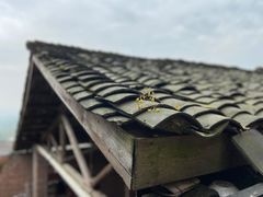 -远山有窑