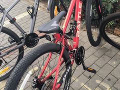 -道路口单车爱瓦士dahon大行