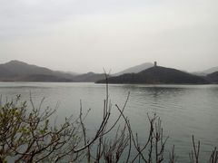 -望湖烤鱼
