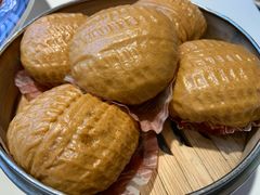 -新概念来凤鱼(璧山店)