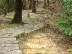 DSC03503-广州市流溪河国家森林公园