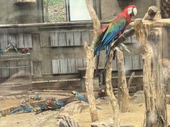 -大连森林动物园