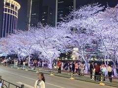-西北湖绿化广场