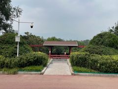 -滨河世纪广场公园