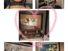-深圳博物馆(古代艺术馆)