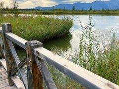-野鸭湖国家湿地公园