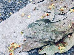-尚贤河湿地