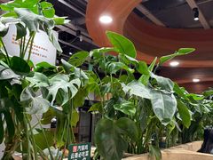 -云海肴汽锅鸡·云南小炒(曲江大悦城店)