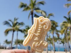 -三亚西岛海洋文化旅游区