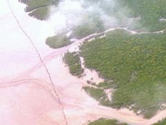 -北海金海湾红树林生态旅游区