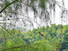 -人民公园(罗湖区)