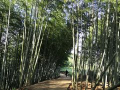 -乌石村