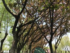 -艾溪湖湿地公园