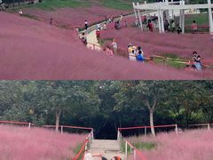 -牛岗山公园