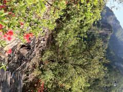 iphone_upload_pic-龙湾潭国家森林公园