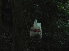 -峙山公园