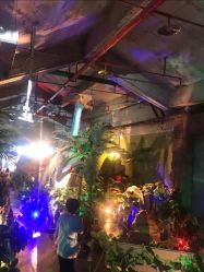 -恐龙探索乐园(磁器口店)