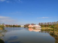 -上海长兴岛郊野公园