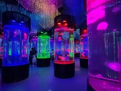 -南昌融创海世界