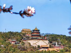 -颐和园