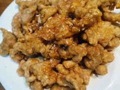 红油里脊-方城小吃店