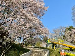 -杭州少年儿童公园