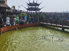 -呀路古热带植物园