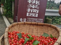 -樱桃山旅游景区