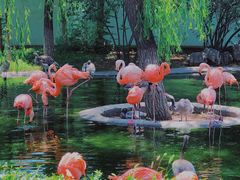 -石家庄市动物园