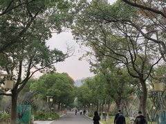 -东钱湖旅游度假区